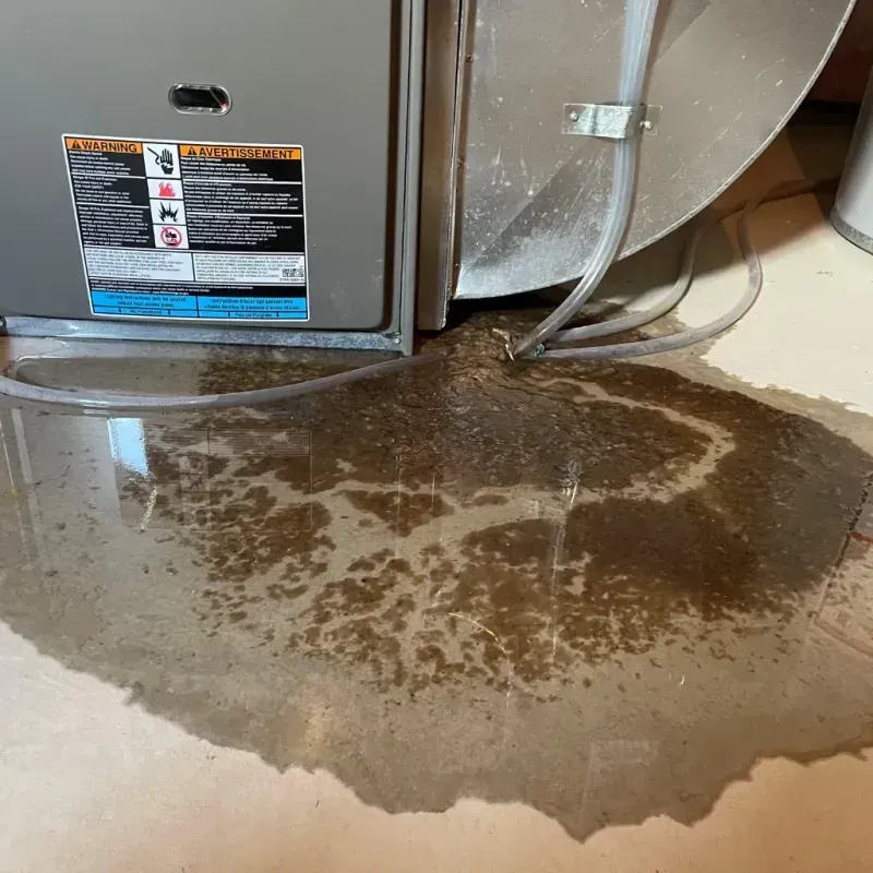 Appliance Leak Cleanup in Oak View, CA